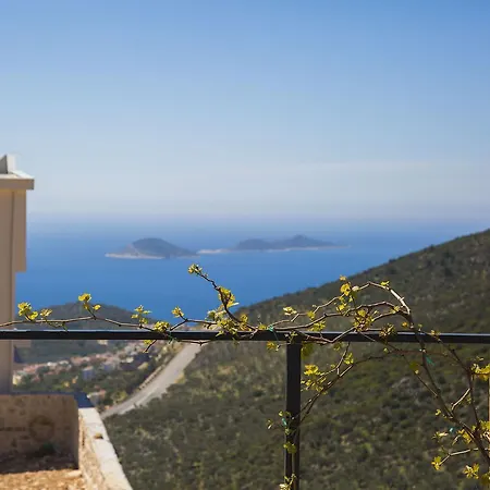 Baha Kalkan
